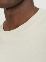 JACK & JONES Jjebradley Tee Ss Noos Şort Erkek
