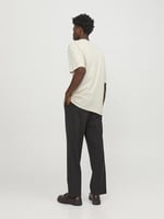 JACK & JONES Jjebradley Tee Ss Noos Şort Erkek