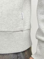 JACK & JONES Jjelogo Sweat Hood 2 Col 24/25 Noos Kapüşonlu Sweatshirt Erkek