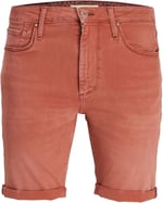 JACK & JONES JJIRICK JJEVAN SHORTS CJ 977 SN Şort Erkek