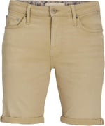 JACK & JONES JJIRICK JJEVAN SHORTS CJ 977 SN Şort Erkek