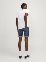 JACK & JONES JJIRICK JJFOX SHORTS 50SPS CB 038 SN Şort Erkek