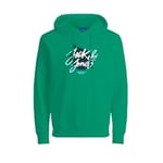 JACK & JONES JORSERGEY SWEAT HOOD FST Sweatshirt Erkek