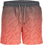 JACK & JONES JPSTFIJI JJSWIM GRADIENT LY JNR Deniz Şortu Erkek çocuk