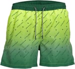 JACK & JONES JPSTFIJI JJSWIM GRADIENT LY JNR Deniz Şortu Erkek çocuk