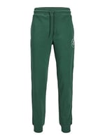 JACK & JONES JPSTGORDON JJSWIFT SWEAT PANTS Pantolon Erkek