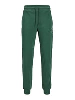 JACK & JONES JPSTGORDON JJSWIFT SWEAT PANTS Pantolon Erkek