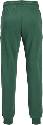 JACK & JONES JPSTGORDON JJSWIFT SWEAT PANTS Pantolon Erkek