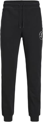 JACK & JONES JPSTGORDON JJSWIFT SWEAT PANTS Pantolon Erkek