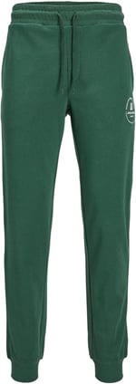 JACK & JONES JPSTGORDON JJSWIFT SWEAT PANTS Pantolon Erkek