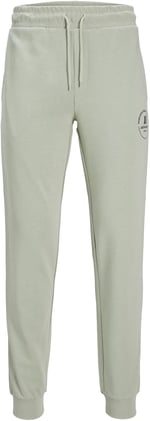 JACK & JONES JPSTGORDON JJSWIFT SWEAT PANTS Pantolon Erkek