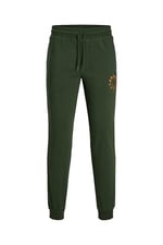 JACK & JONES JPSTGORDON JJWARRIOR SP UNBRUSHED IM Erkek Pantolon Mountain View M