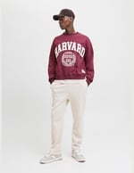 JACK & JONES Jpstkane Bradley Uncuffed Swt Pants Noos Jpstkane Bradley Uncuffed Swt Pants Noos Erkek