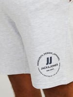 JACK & JONES JPSTSWIFT SWEAT SHORTS SN PLS Şort Erkek