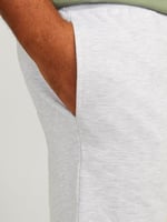JACK & JONES JPSTSWIFT SWEAT SHORTS SN PLS Şort Erkek
