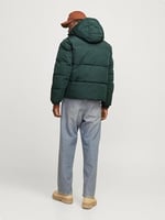 Jack & Jones Kapüşonlu Regular Fit Mont, TYCF5E15E736C48106
