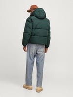 Jack & Jones Kapüşonlu Regular Fit Mont, TYCF5E15E736C48106