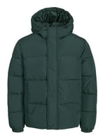 Jack & Jones Kapüşonlu Regular Fit Mont, TYCF5E15E736C48106