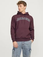 JACK & JONES Kapüşonlu Sweatshirt Jjecaleb Varsity, TYCC57EF9707307204