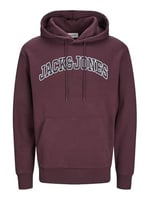 JACK & JONES Kapüşonlu Sweatshirt Jjecaleb Varsity, TYCC57EF9707307204