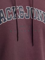 JACK & JONES Kapüşonlu Sweatshirt Jjecaleb Varsity, TYCC57EF9707307204