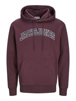 JACK & JONES Kapüşonlu Sweatshirt Jjecaleb Varsity, TYCC57EF9707307204
