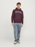 JACK & JONES Kapüşonlu Sweatshirt Jjecaleb Varsity, TYCC57EF9707307204