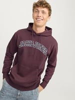 JACK & JONES Kapüşonlu Sweatshirt Jjecaleb Varsity, TYCC57EF9707307204