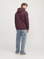 JACK & JONES Kapüşonlu Sweatshirt Jjecaleb Varsity, TYCC57EF9707307204