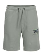 Jack & Jones Lastikli Bel Normal Erkek Çocuk Şort, 5003241093