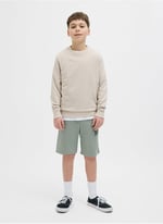 Jack & Jones Lastikli Bel Normal Erkek Çocuk Şort, 5003241093