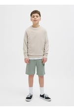 Jack & Jones Lastikli Bel Normal Erkek Çocuk Şort, 5003241093