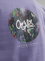 JACK & JONES ORIGINALS JORSILVERLAKE SWEAT CREW NECK LN Sweatshirt Erkek