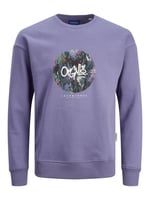 JACK & JONES ORIGINALS JORSILVERLAKE SWEAT CREW NECK LN Sweatshirt Erkek