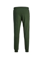 Jack & Jones Slim Fit Koyu Yeşil Eşofman Altı, 5003051863