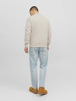 JACK & JONES Sweatshirt Stormy Weather, 12241694