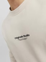 JACK & JONES Sweatshirt Stormy Weather, 12241694
