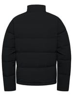 Jack Wolfskin Nordlicht Jkt M Kuş tüyü mont Erkekler