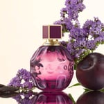 Jimmy Choo Jimmy Choo Fever EDP Kadın Parfümü, 100 ml