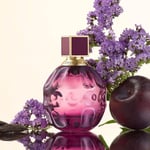 Jimmy Choo Jimmy Choo Fever EDP Kadın Parfümü, 100 ml