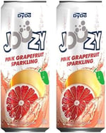 Joozy Greyfurt Aromalı İçecek Teneke Kutu 330 ml 2li paket