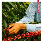 Juan Valdez Volcan Öğütülmüş Güçlü Kahve, 250g, Premium Selection, Koyu Kavrulmuş