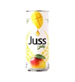 Juss Kutu 250 ml Mango Parçacıklı