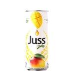 Juss Kutu 250 ml Mango Parçacıklı