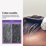 Just For Men Touch of Grey, Gri Saç Boyama Tarak Aplikatörlü Erkekler için, Tuz ve Biber Görünümünde Harika - Siyah, T-55 (Ambalaj değişebilir)