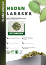 Kabak Çekirdeği İçi Çiğ 1kg- Raw Pumpkin Seeds