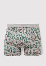 Kaktüs Desenli Gri Boxer 091122-23854