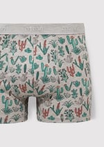 Kaktüs Desenli Gri Boxer 091122-23854