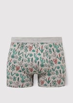Kaktüs Desenli Gri Boxer 091122-23854