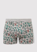 Kaktüs Desenli Gri Boxer 091122-23854